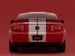 Shelby Shelby Cobra GT500 Picture #112